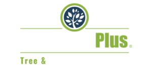LawnCare Plus Tree & Landscape Services logo LawnCare Plus Tree & Landscape Services logo