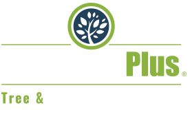 LawnCare Plus Tree & Landscape Services logo