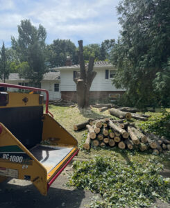 Tree trimming